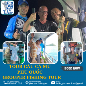 TOUR SĂN CÁ MÚ